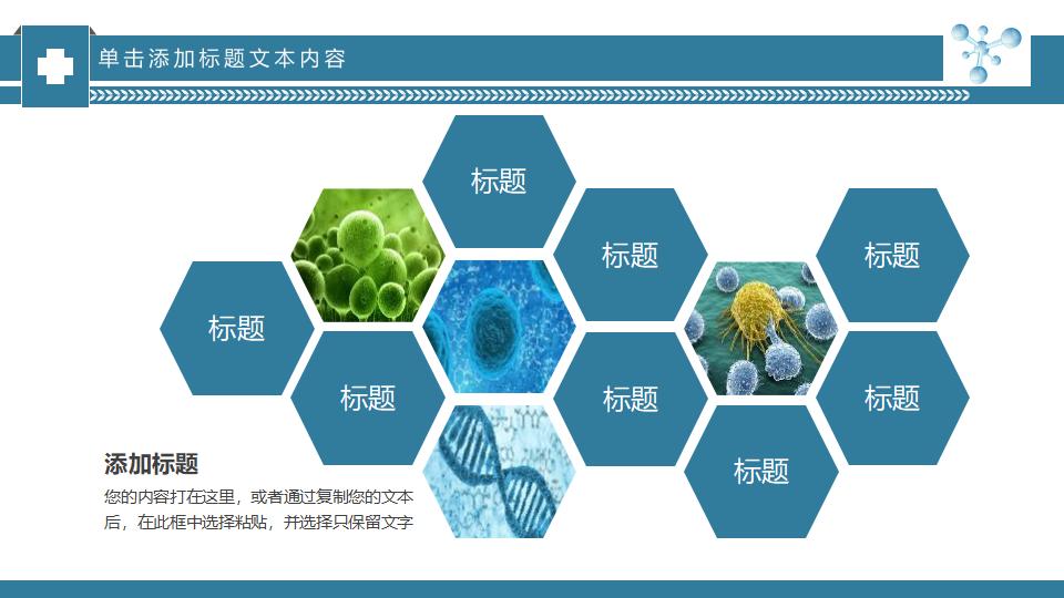 化学细胞医疗手术工作总结PPT模板