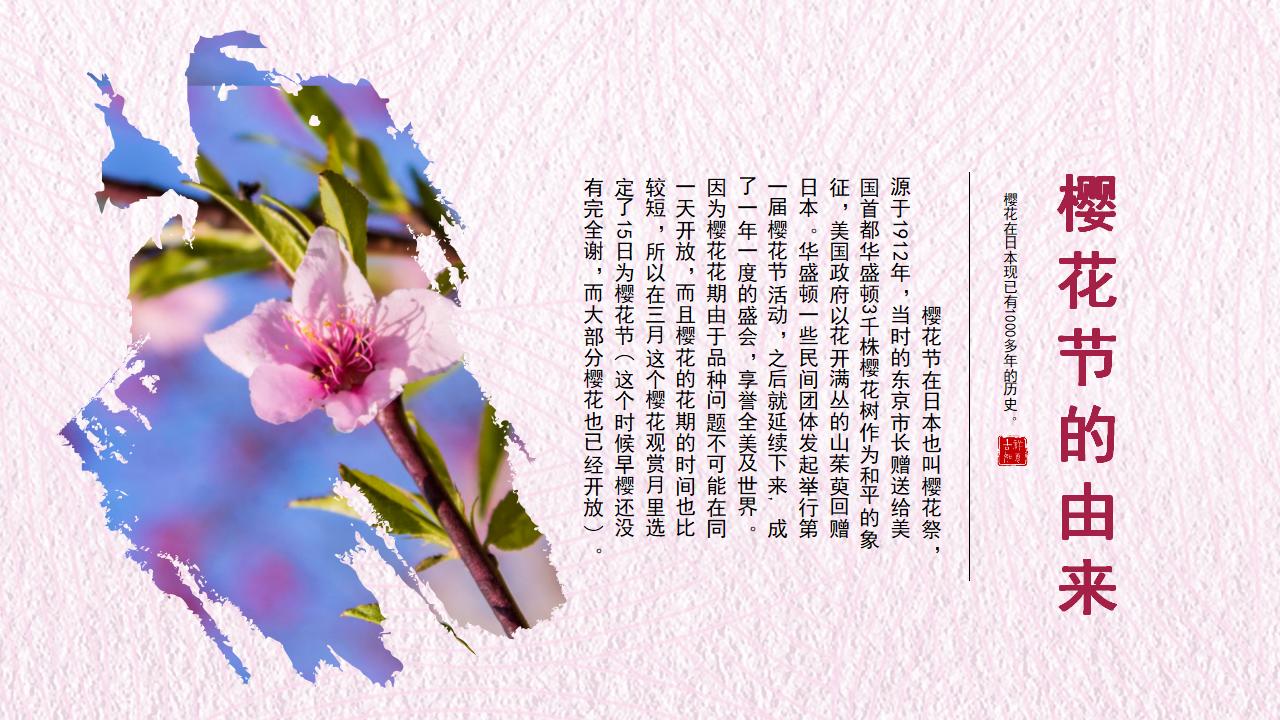 粉色小清新樱花节赏樱花活动策划PPT