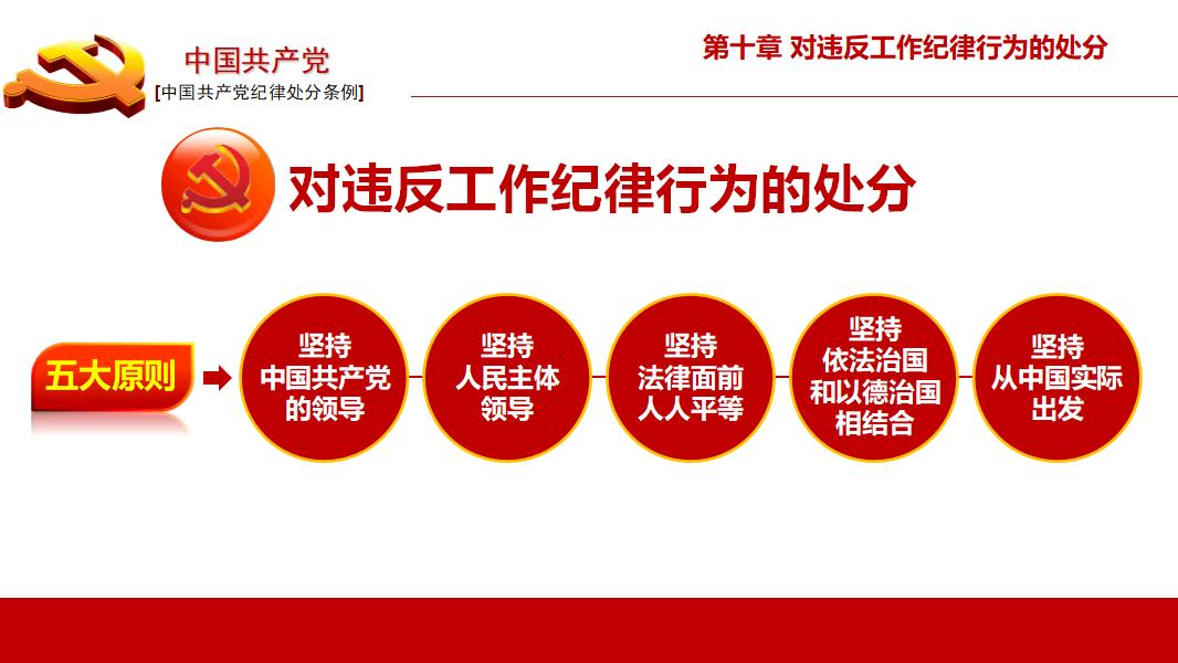 中国共产党纪律处分条例政府党建机制PPT