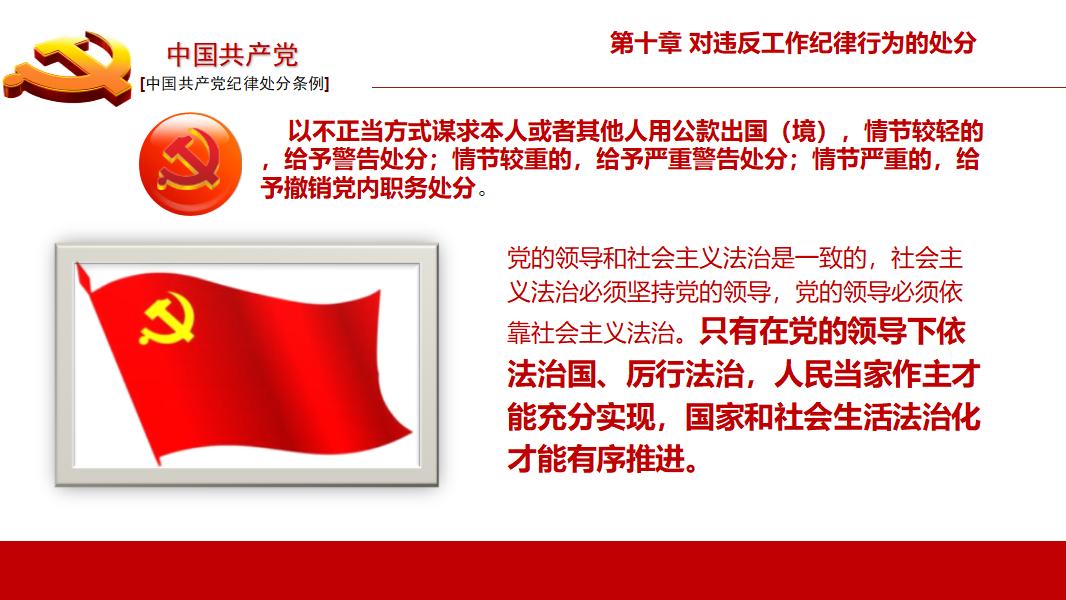 中国共产党纪律处分条例政府党建机制PPT